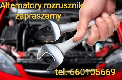 Alternatory, rozruszniki, elektryk samochodowy, naprawa, mechanik Puławy